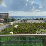 ID 004 2+1 Apartment in Kargicak with Direct Sea View